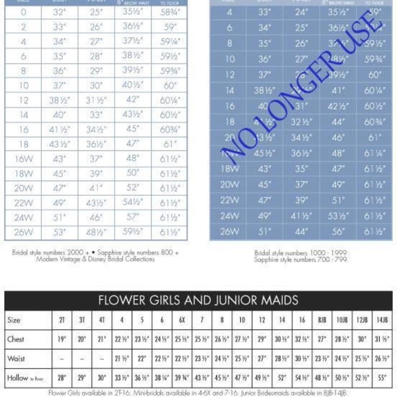 Alfred Angelo Beaded With Train Flower Girl Dress - Picture 12 of 15